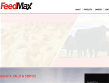 Tablet Screenshot of feedmax.com